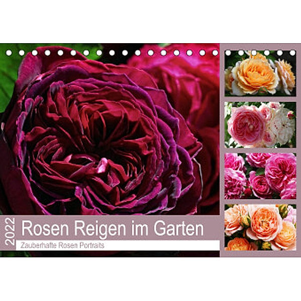 Rosen Reigen im Garten (Tischkalender 2022 DIN A5 quer), Martina Cross