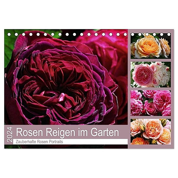 Rosen Reigen im Garten (Tischkalender 2024 DIN A5 quer), CALVENDO Monatskalender, Martina Cross