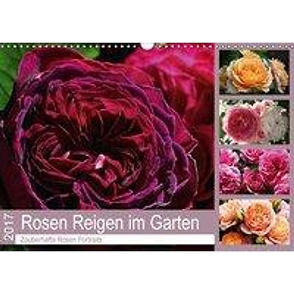 Rosen Reigen im Garten (Wandkalender 2017 DIN A3 quer), Martina Cross