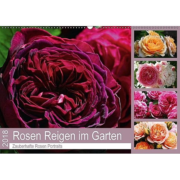 Rosen Reigen im Garten (Wandkalender 2018 DIN A2 quer), Martina Cross