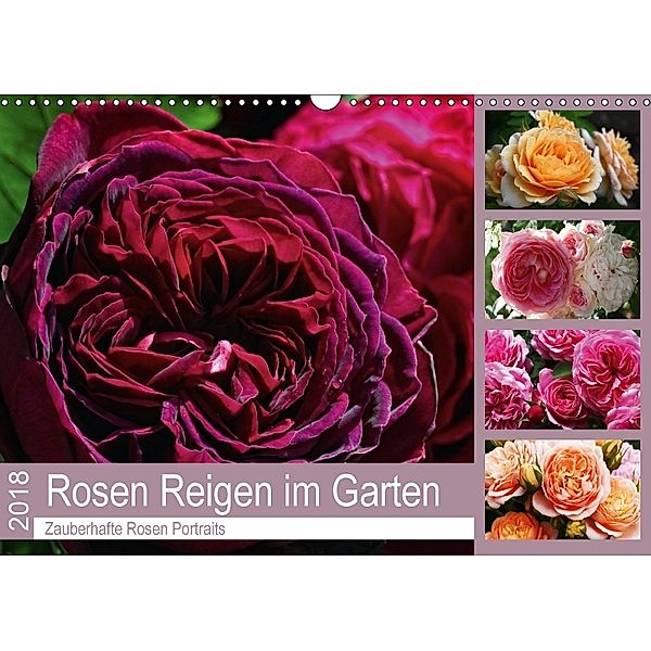 Rosen Reigen im Garten (Wandkalender 2018 DIN A3 quer), Martina Cross