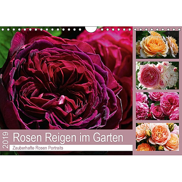Rosen Reigen im Garten (Wandkalender 2019 DIN A4 quer), Martina Cross