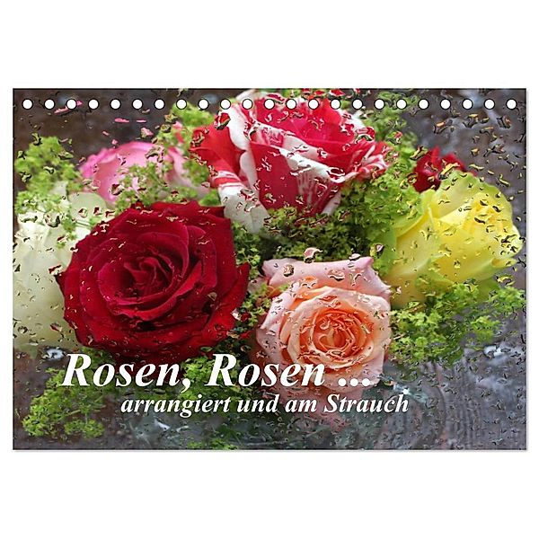 Rosen, Rosen ... arrangiert und am Strauch (Tischkalender 2025 DIN A5 quer), CALVENDO Monatskalender, Calvendo, Gisela Kruse