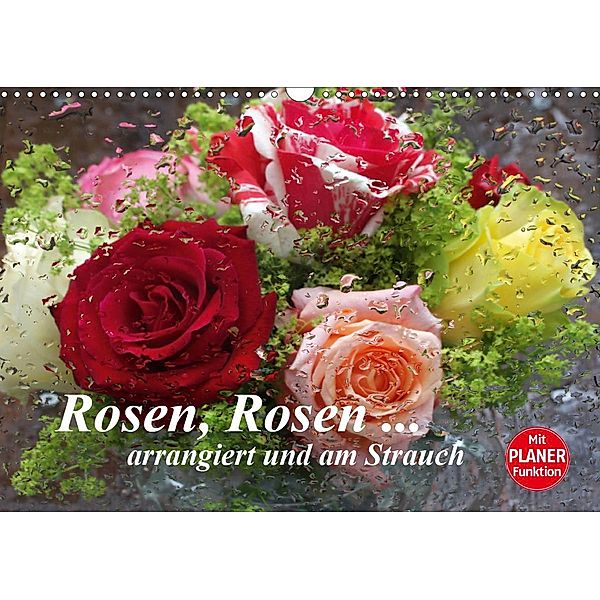 Rosen, Rosen ... arrangiert und am Strauch (Wandkalender 2021 DIN A3 quer), Gisela Kruse