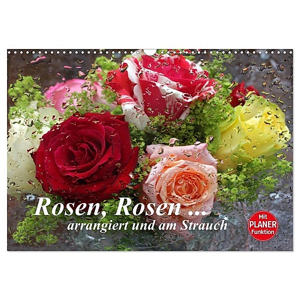 Rosen, Rosen ... arrangiert und am Strauch (Wandkalender 2024 DIN A3 quer), CALVENDO Monatskalender, Gisela Kruse