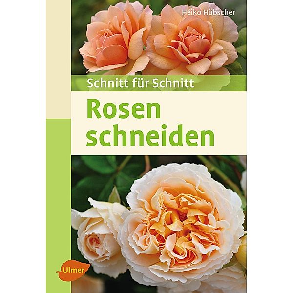 Rosen schneiden, Heiko Hübscher