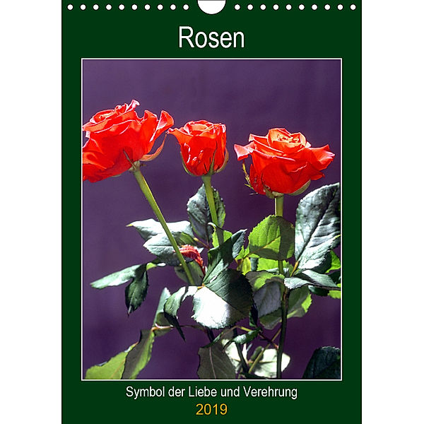 Rosen - Symbol der Liebe und Verehrung (Wandkalender 2019 DIN A4 hoch), lothar reupert