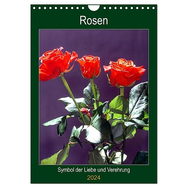 Rosen - Symbol der Liebe und Verehrung (Wandkalender 2024 DIN A4 hoch), CALVENDO Monatskalender, lothar reupert