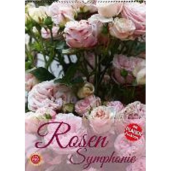 Rosen Symphonie (Wandkalender 2016 DIN A2 hoch), Martina Cross