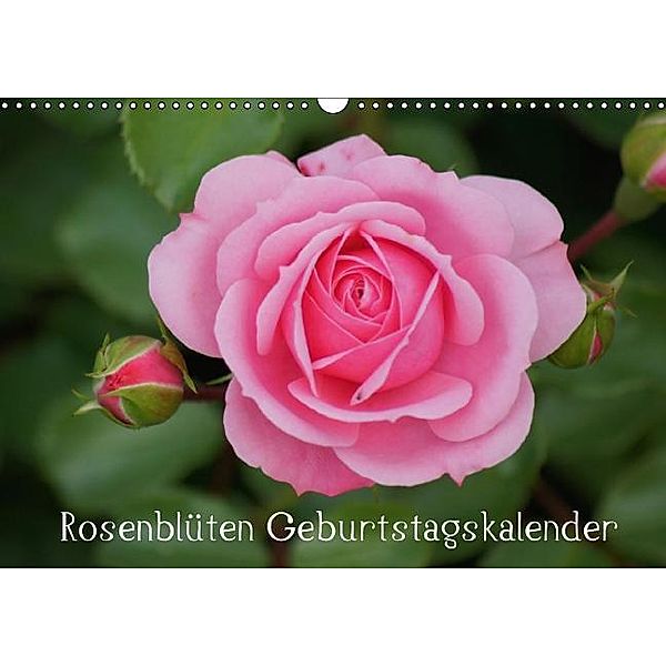 Rosenblüten / Geburtstagskalender (Wandkalender immerwährend DIN A3 quer), Kattobello, k.A. kattobello