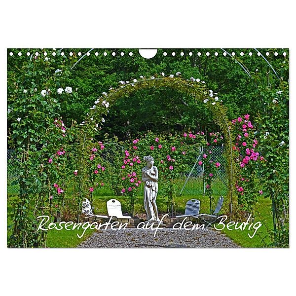 Rosengarten auf dem Beutig (Wandkalender 2025 DIN A4 quer), CALVENDO Monatskalender, Calvendo, Claudia Schimon