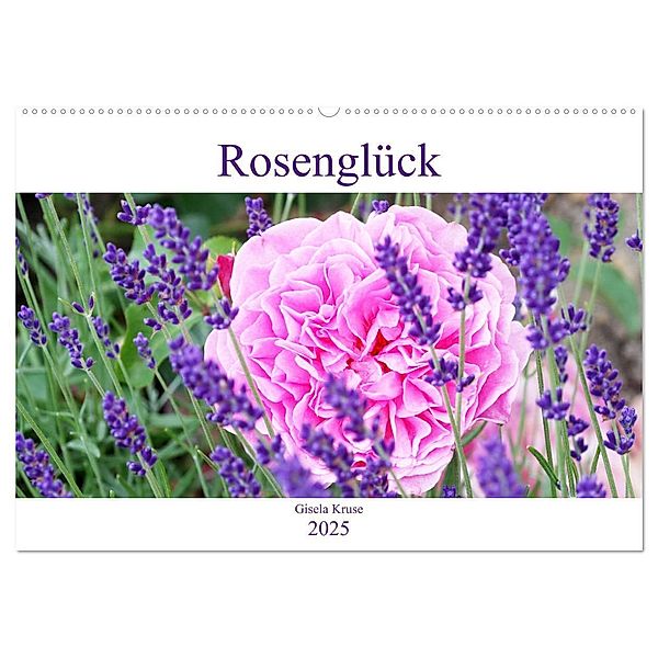 Rosenglück (Wandkalender 2025 DIN A2 quer), CALVENDO Monatskalender, Calvendo, Gisela Kruse