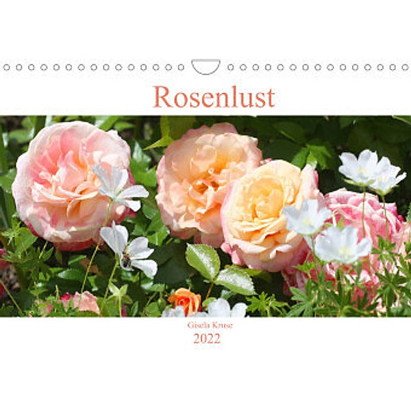 Rosenlust (Wandkalender 2022 DIN A4 quer), Gisela Kruse