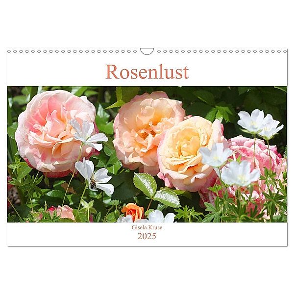Rosenlust (Wandkalender 2025 DIN A3 quer), CALVENDO Monatskalender, Calvendo, Gisela Kruse