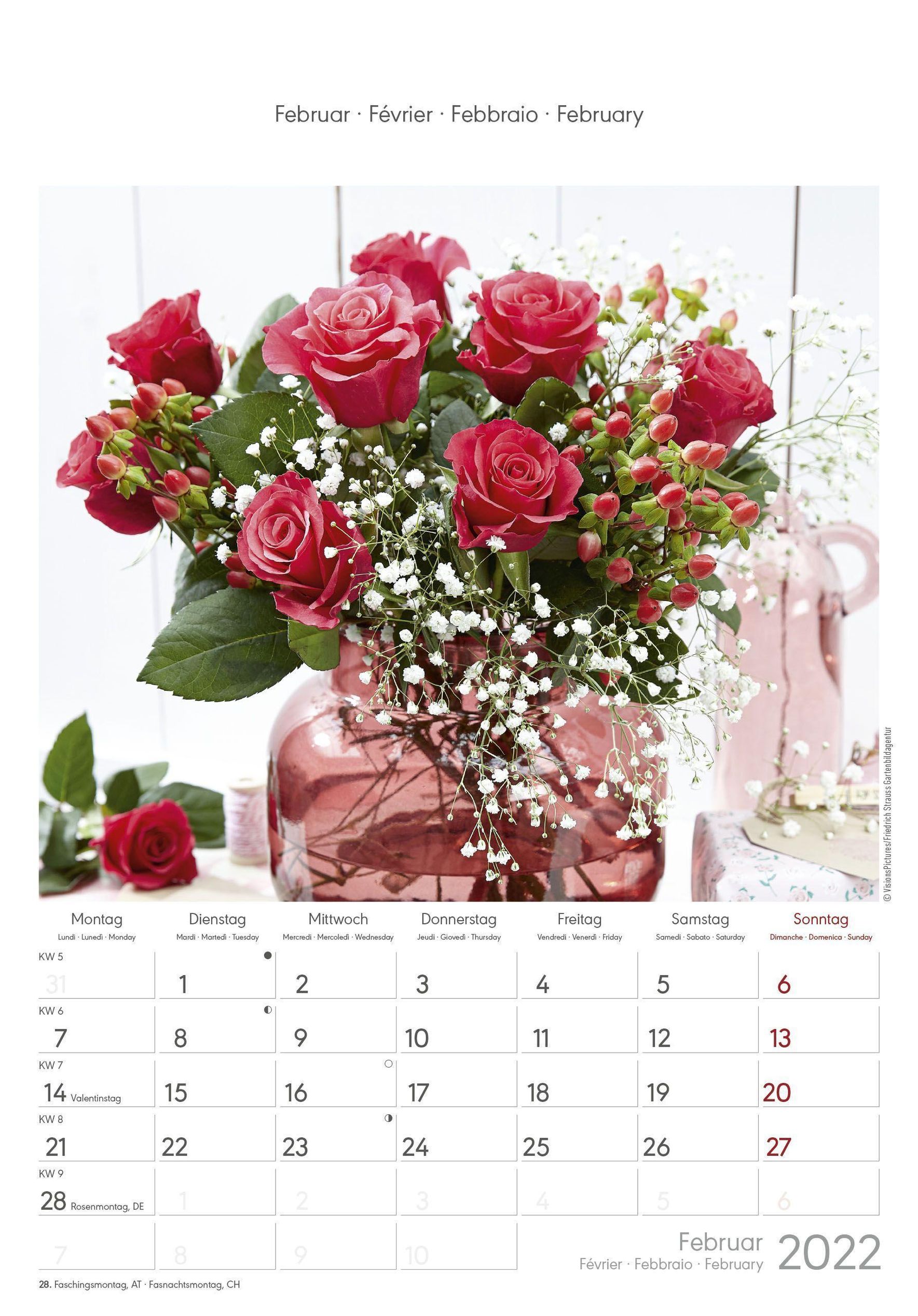 Rosenträume 2022 - Bildkalender 23,7x34 cm - Kalender mit Platz für Notizen  - mit vielen Zusatzinformationen - Rose Drea - Kalender bestellen