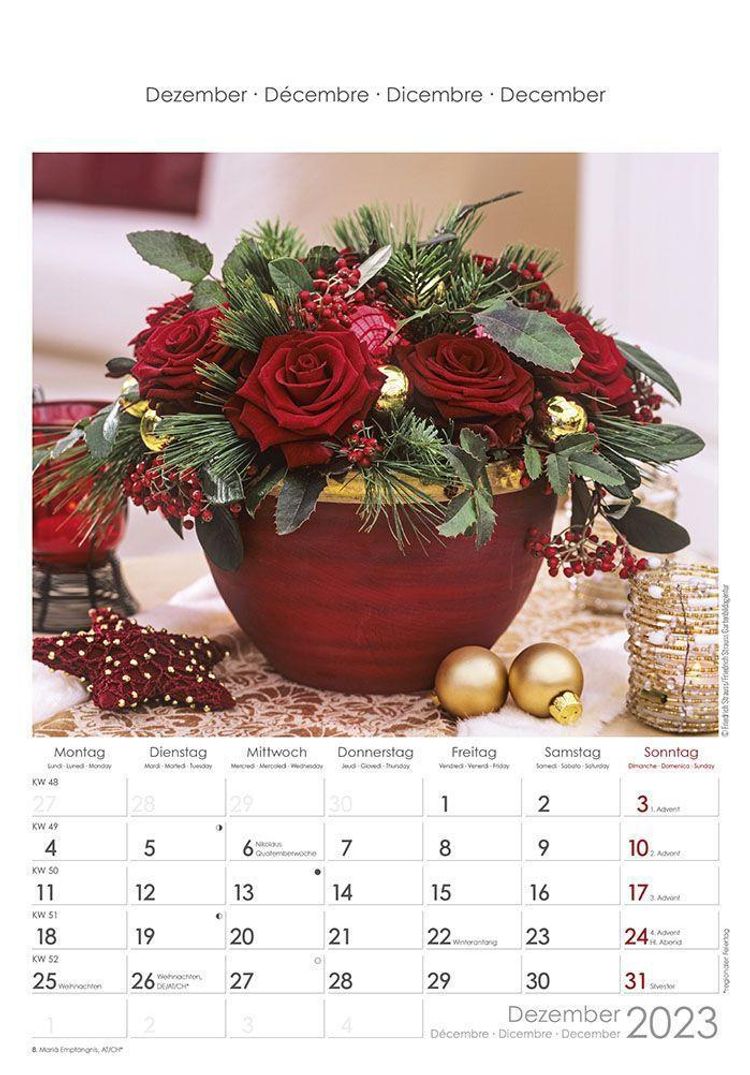 Rosenträume 2023 - Bildkalender 23,7x34 cm - Kalender mit Platz für Notizen  - mit vielen Zusatzinformationen - Rose Drea - Kalender bestellen