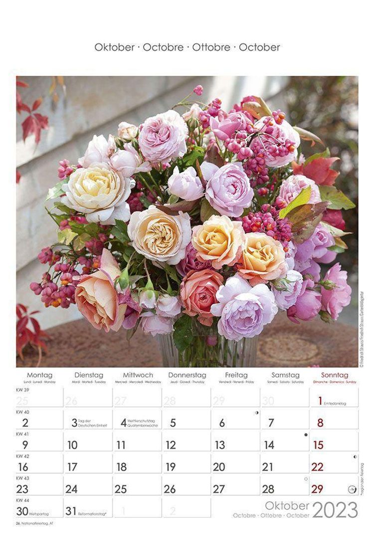 Rosenträume 2023 - Bildkalender 23,7x34 cm - Kalender mit Platz für Notizen  - mit vielen Zusatzinformationen - Rose Drea - Kalender bestellen