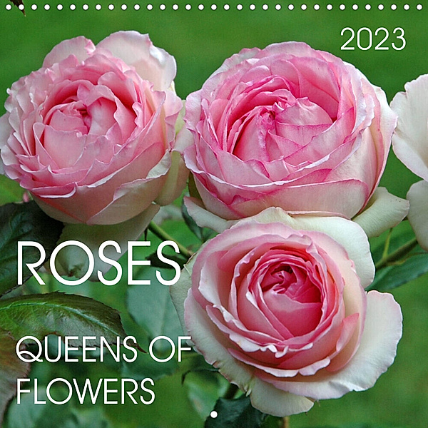ROSES QUEENS OF FLOWERS (Wall Calendar 2023 300 × 300 mm Square), Claudia Kleemann