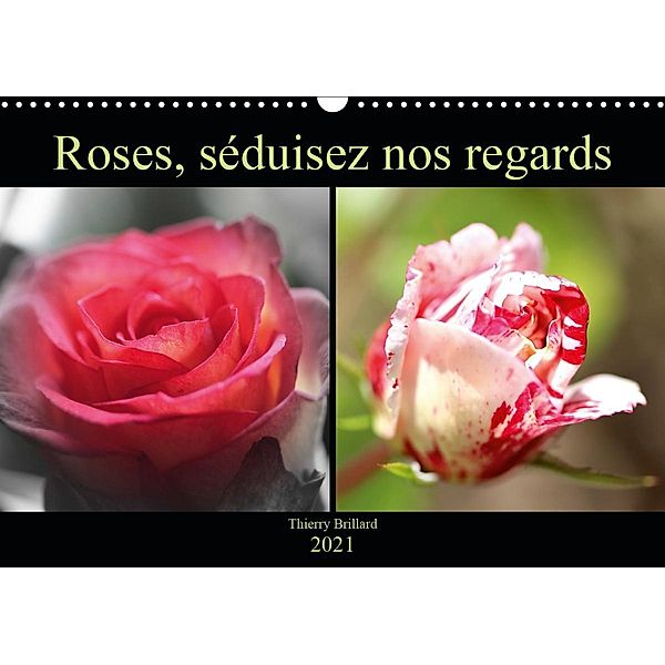 Roses, séduisez nos regards (Calendrier mural 2021 DIN A3 horizontal), Thierry BRILLARD