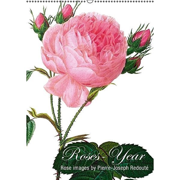 Roses-Year (US-Version) (Wall Calendar 2014 DIN A2 Portrait), Babette Reek