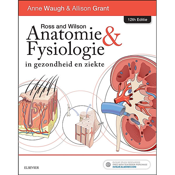 Ross and Wilson Anatomie en Fysiologie in gezondheid en ziekte - E-Book, Anne Waugh, Allison Grant