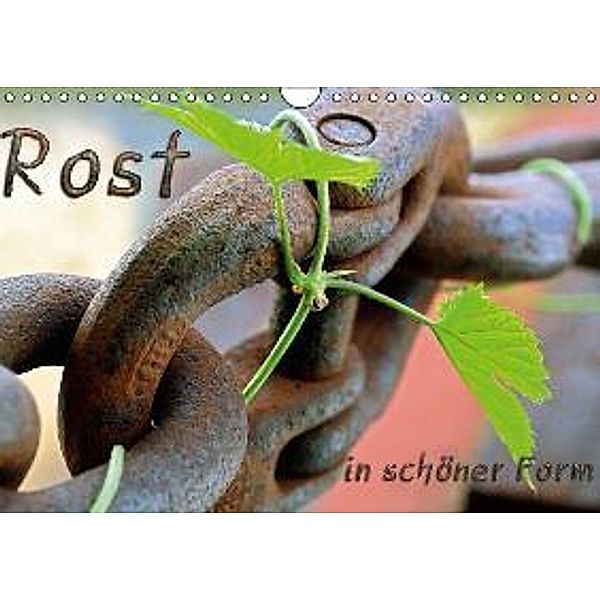 Rost in schöner Form (Wandkalender 2016 DIN A4 quer), Heribert Adams