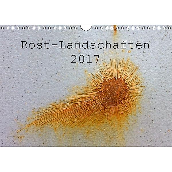 ROST-LANDSCHAFTEN 2017 / CH-Version (Wandkalender 2017 DIN A4 quer), Kerstin Stolzenburg