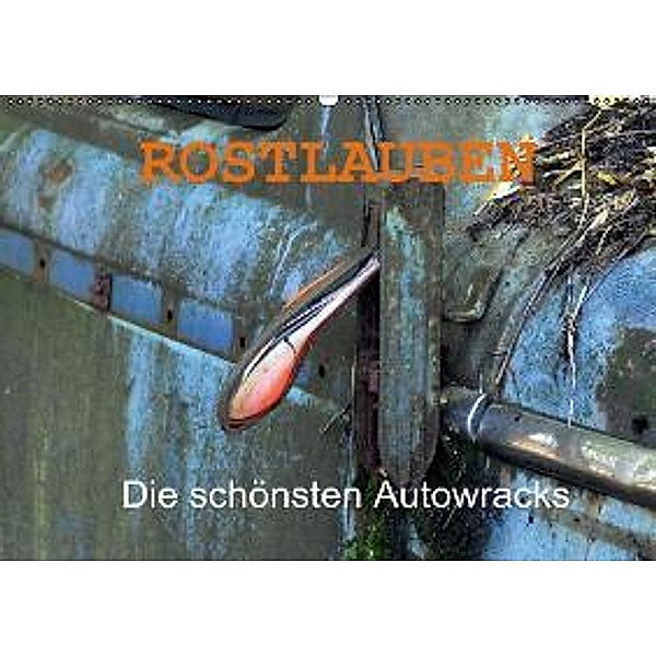 ROSTLAUBEN Die schönsten Autowracks (Wandkalender 2015 DIN A2 quer), Ingo Laue