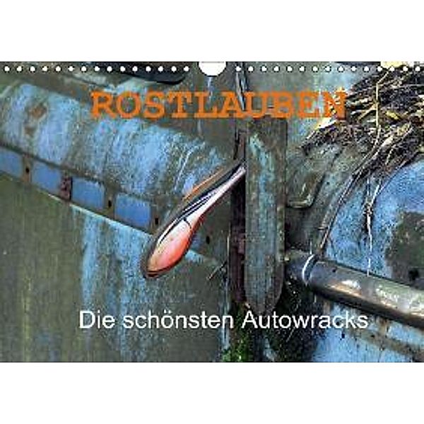 ROSTLAUBEN Die schönsten Autowracks (Wandkalender 2015 DIN A4 quer), Ingo Laue