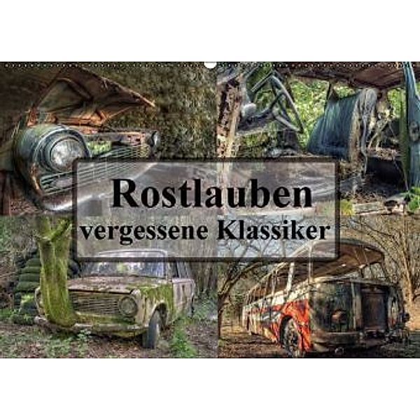 Rostlauben - vergessene Klassiker (Wandkalender 2016 DIN A2 quer), Carina Buchspies