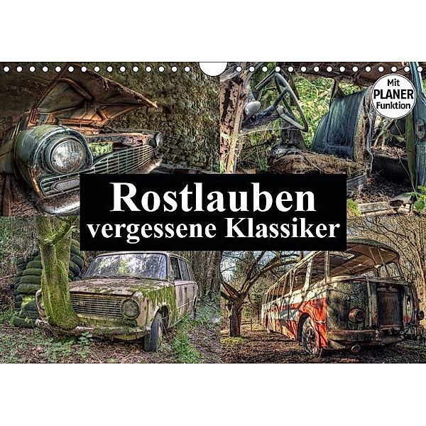 Rostlauben - vergessene Klassiker (Wandkalender 2019 DIN A4 quer), Carina Buchspies