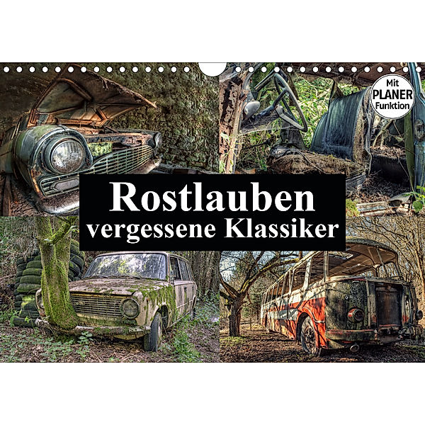 Rostlauben - vergessene Klassiker (Wandkalender 2020 DIN A4 quer), Carina Buchspies