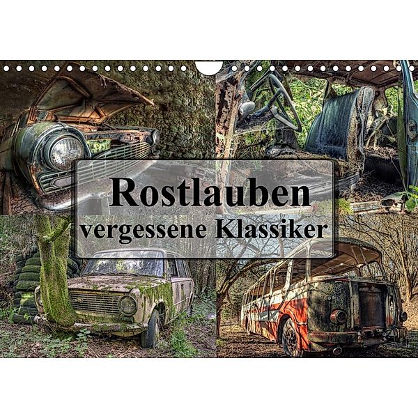 Rostlauben - vergessene Klassiker (Wandkalender 2023 DIN A4 quer), Carina Buchspies