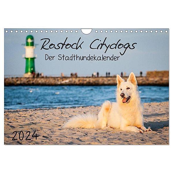 Rostock Citydogs - Der Stadthundekalender (Wandkalender 2024 DIN A4 quer), CALVENDO Monatskalender, Jill Langer