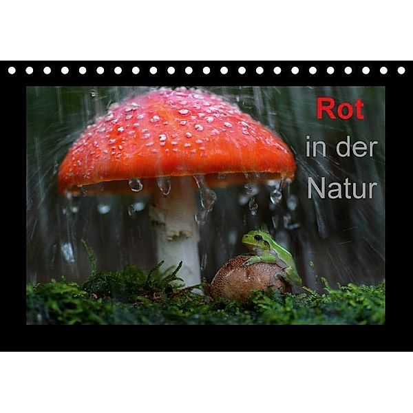 Rot in der Natur (Tischkalender 2017 DIN A5 quer), Günter Bachmeier
