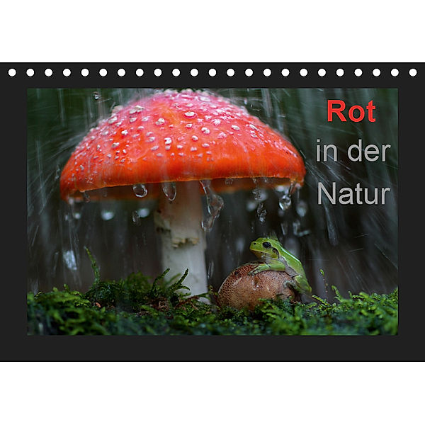 Rot in der Natur (Tischkalender 2019 DIN A5 quer), Günter Bachmeier