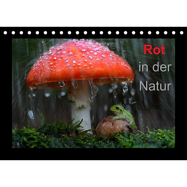 Rot in der Natur (Tischkalender 2023 DIN A5 quer), Günter Bachmeier