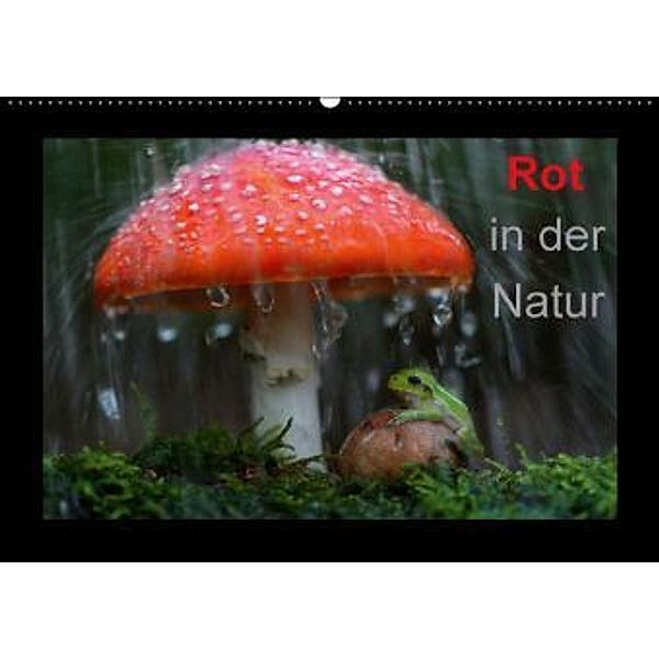 Rot in der Natur (Wandkalender 2016 DIN A2 quer), Günter Bachmeier