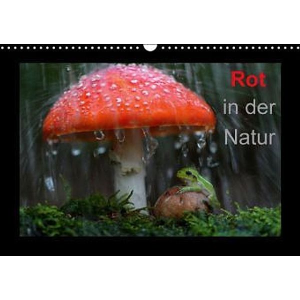 Rot in der Natur (Wandkalender 2016 DIN A3 quer), Günter Bachmeier