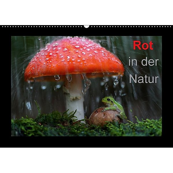 Rot in der Natur (Wandkalender 2018 DIN A2 quer), Günter Bachmeier