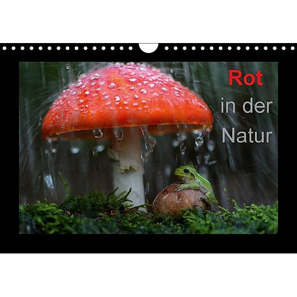 Rot in der Natur (Wandkalender 2018 DIN A4 quer) Dieser erfolgreiche Kalender wurde dieses Jahr mit gleichen Bildern und, Günter Bachmeier