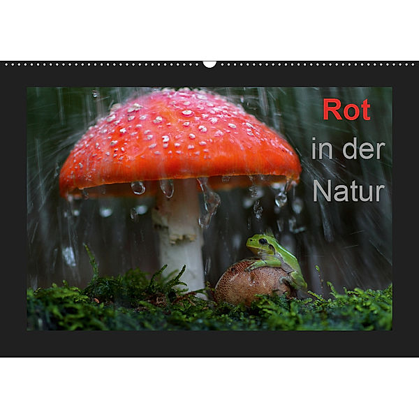 Rot in der Natur (Wandkalender 2019 DIN A2 quer), Günter Bachmeier