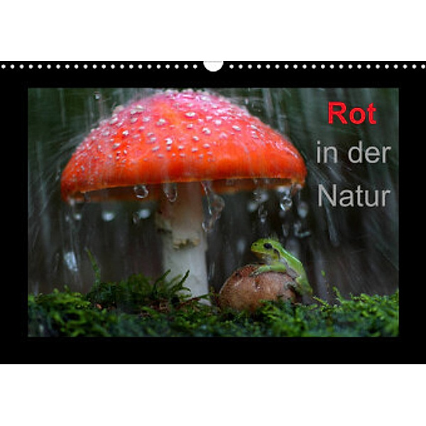 Rot in der Natur (Wandkalender 2022 DIN A3 quer), Günter Bachmeier