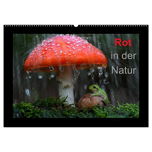Rot in der Natur (Wandkalender 2024 DIN A2 quer), CALVENDO Monatskalender, Günter Bachmeier
