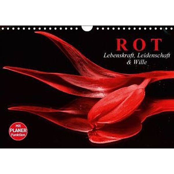 Rot. Lebenskraft, Leidenschaft und Wille (Wandkalender 2016 DIN A4 quer), Elisabeth Stanzer