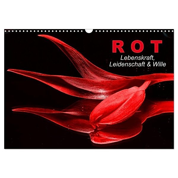 Rot - Lebenskraft, Leidenschaft & Wille (Wandkalender 2024 DIN A3 quer), CALVENDO Monatskalender, Elisabeth Stanzer