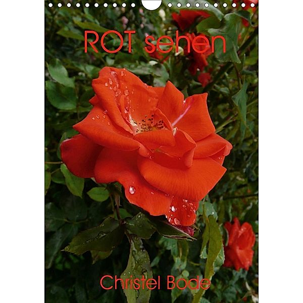 ROT sehen (Wandkalender 2020 DIN A4 hoch), Christel Bode