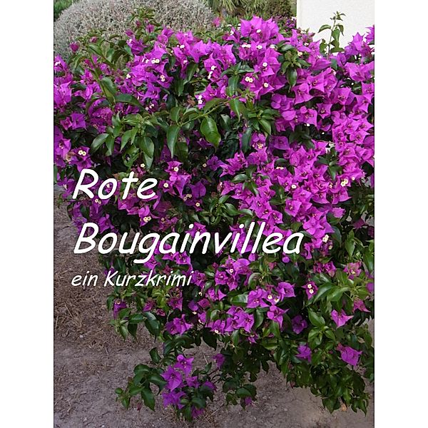 Rote Bougainvillea, Lucy van Geldern