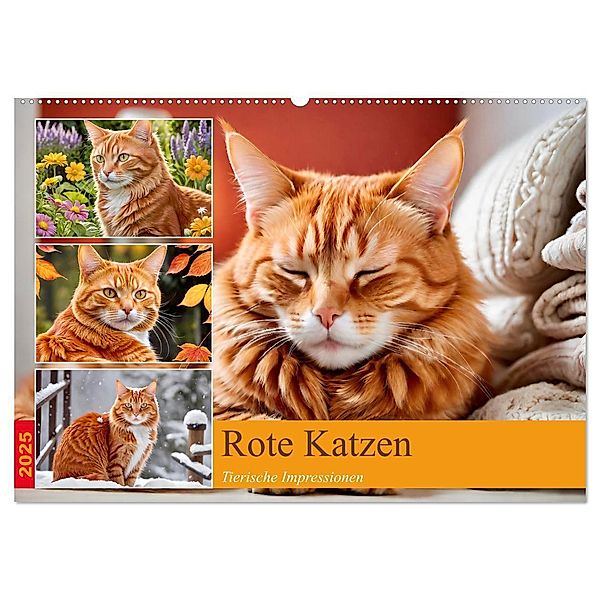 Rote Katzen (Wandkalender 2025 DIN A2 quer), CALVENDO Monatskalender, Calvendo, Steffani Lehmann