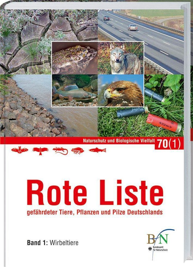 Rote Liste gefährdeter Tiere, Pflanzen und Pilze Deutschlands Buch  versandkostenfrei bei Weltbild.de bestellen